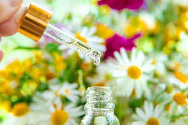 Tincture of herbal extract in a pipette drop. Selective focus. Nature.